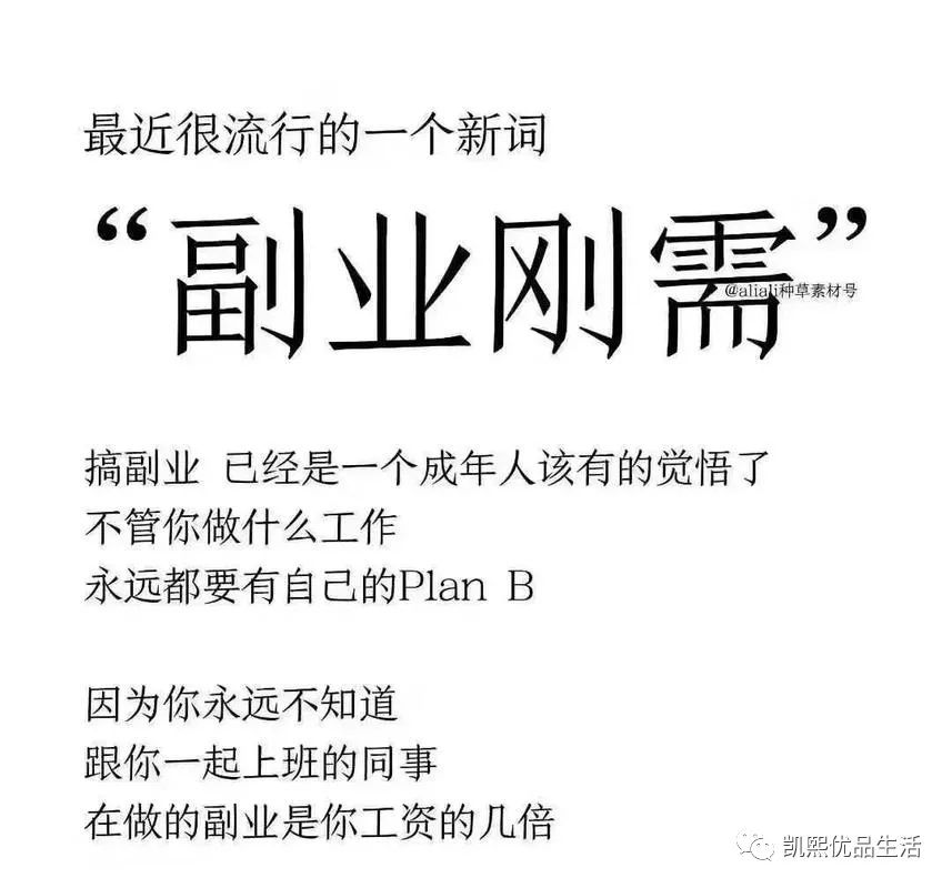 农村搞点什么副业可以挣钱_农村晚上做点什么副业赚钱_农村做啥副业