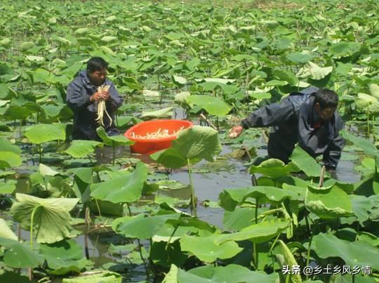 在家做点什么副业赚钱呢_在家打工做什么好_在家打工能干能农民出去赚钱吗