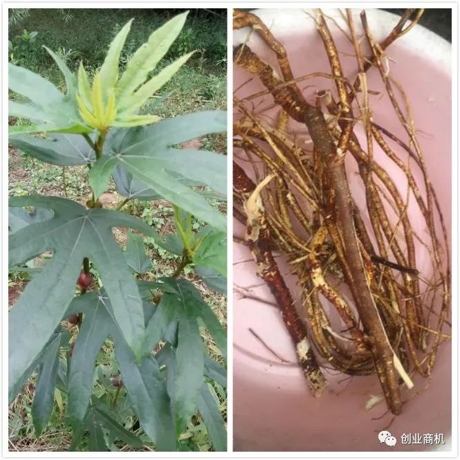 小伙狂赚1.2亿_农村小伙分享手机副业赚钱_发现意外和意外发现