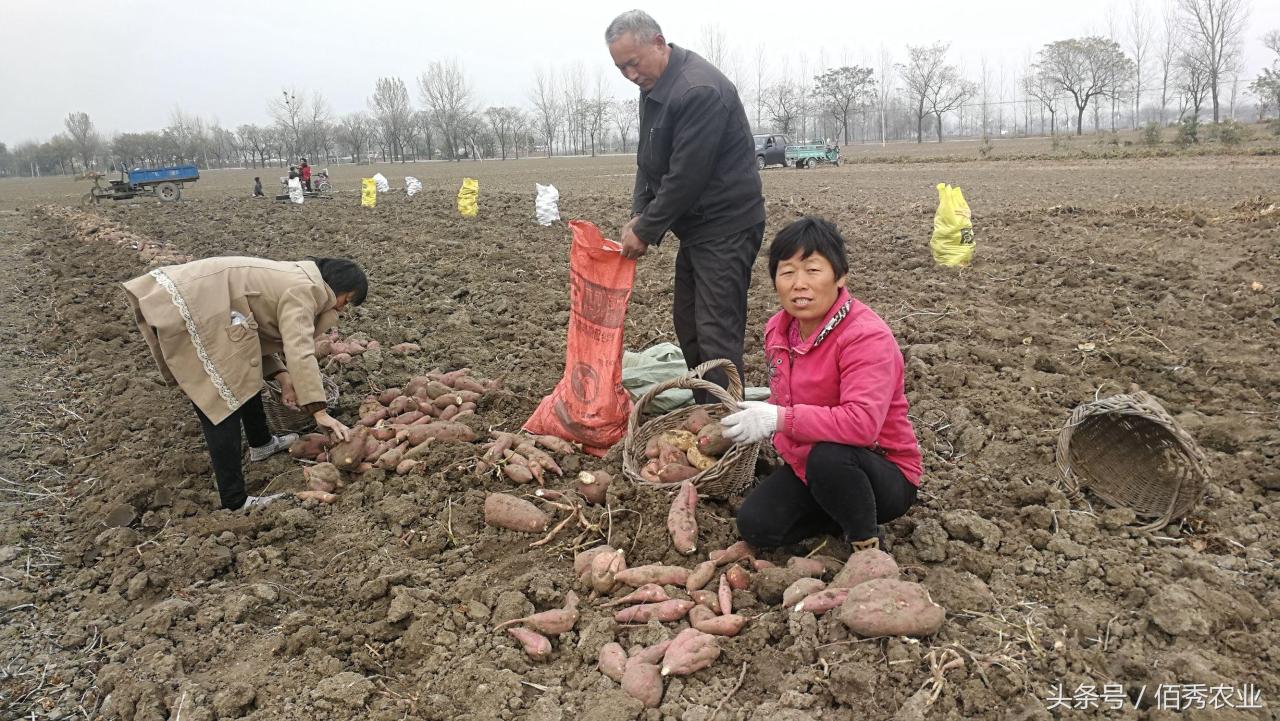 闲置赚钱副业农村好做吗_农村闲置做什么副业好赚钱_农村做啥副业