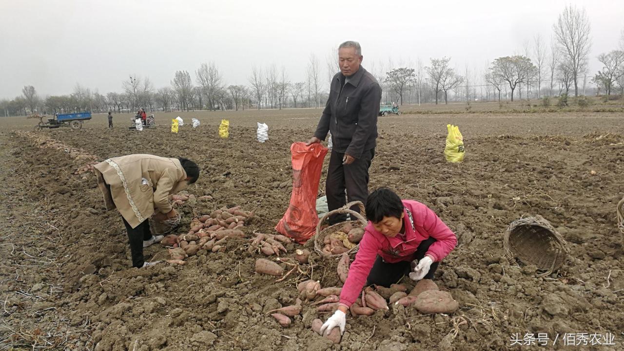 农村做啥副业_闲置赚钱副业农村好做吗_农村闲置做什么副业好赚钱